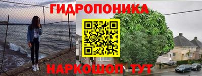 крисы Баксан