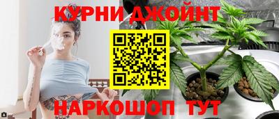 apvp Ачхой-Мартан