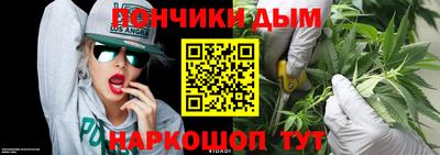 крисы Баксан