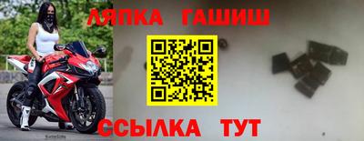 apvp Ачхой-Мартан