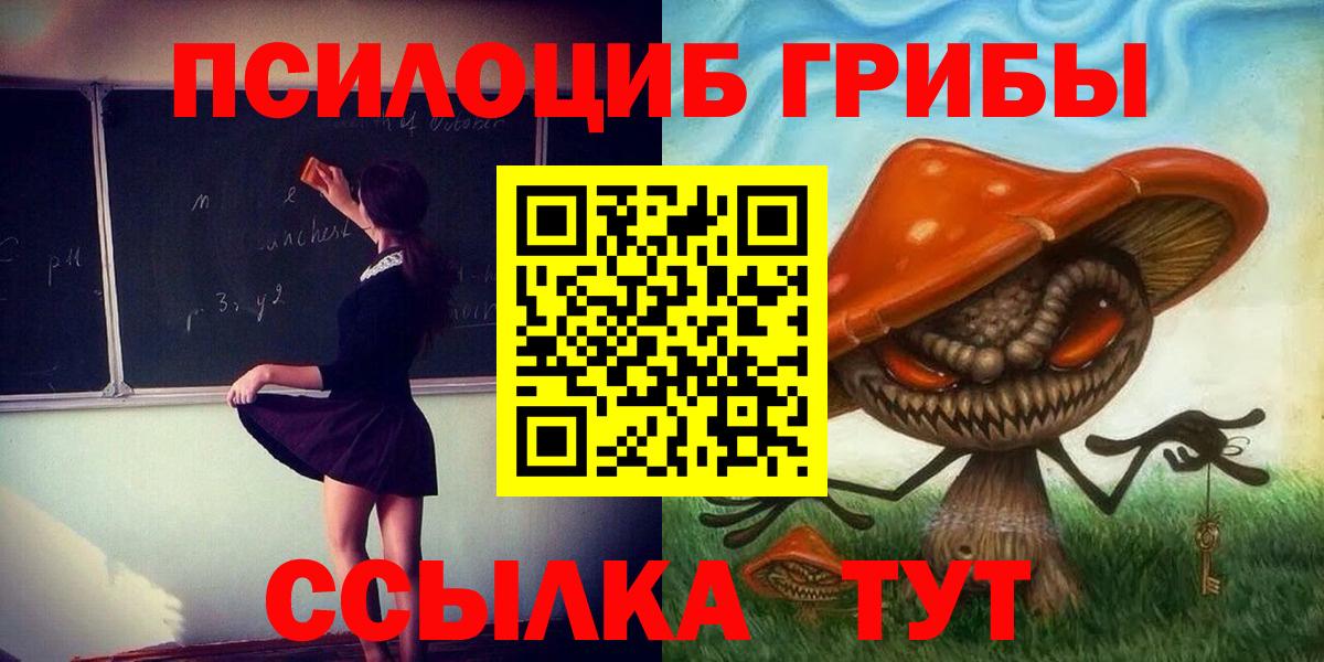 Псилоцибиновые грибы GOLDEN TEACHER Ногинск