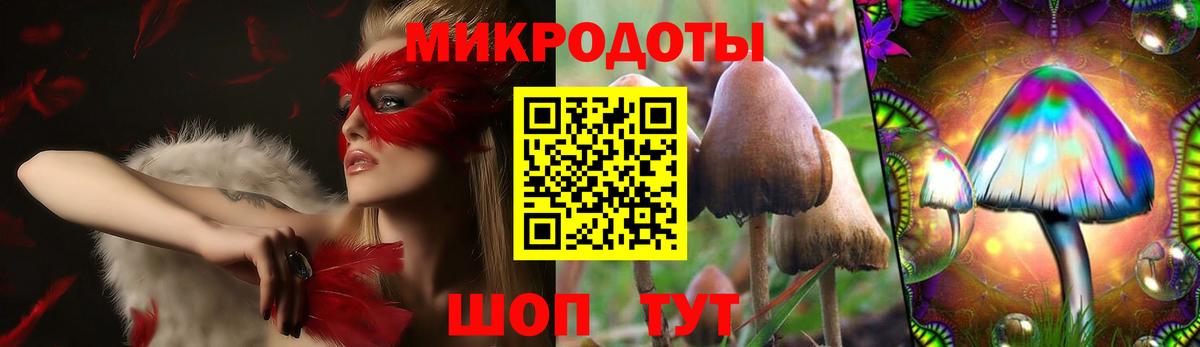 Галлюциногенные грибы Cubensis  Вход с VPN  Ногинск  Псилоцибиновые грибы мицелий 
